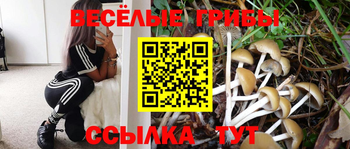 МЕФ Мичуринск